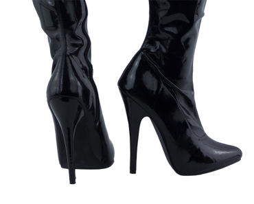 6 inch heel boots from pleaser